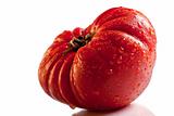 Big red tomato isolated over white