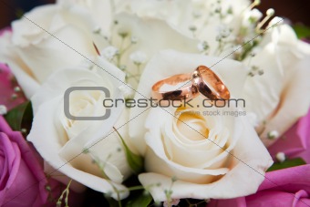 Gold wedding rings on colors