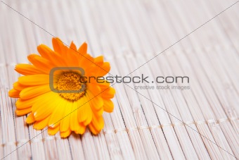 Yellow  flower on bamboo mat 