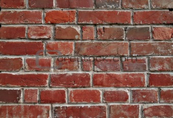 Brick wall. Textured background.