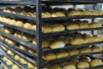 bread factory production