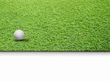 White Golf ball on Green Grass