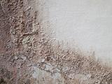 Grunge Old Brown Wall