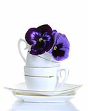 Violet flowers in a coffee cup on a white background.