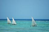 Sailing boats on water near Zanzibar