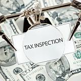 tax inspection