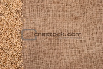 Wheat border on burlap background 