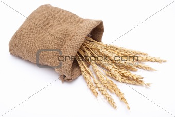 Bag with wheat ears 