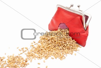 Red purse with hole and wheat 