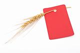 Wheat ear with red tag 