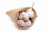 Burlap sack with garlic 