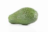 avocado vegetable