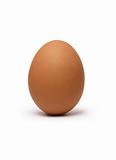 Brown Hen's Egg