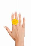 Yellow flower between fingers of female hand