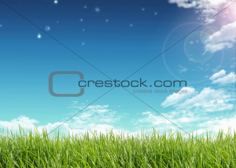 Blue Sky and green grass 
