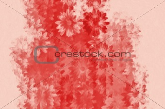 daisies floral pattern