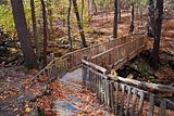 Autumn Bridge in forest with creek 