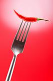 Hot pepper on the fork against colour background