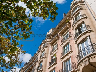 Parisian Apartment and Tree