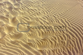 Sandy desert background