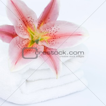 White towel and lily flower
