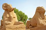 Ram sphinxes at Karnak Temple