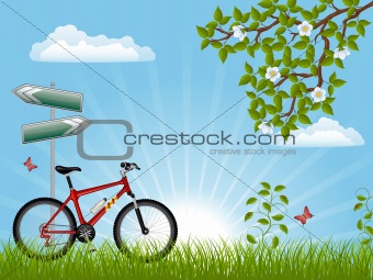 Summer landscape with a bike