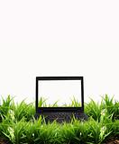 Modern laptop on green field 
