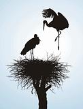 Betrothal storks