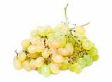 bunch of grapes 