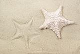 Starfish on sand with its imprint
