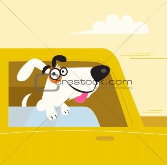 Happy black and white dog travelling in yellow car