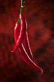 Red hot chili papers over dark red background