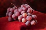 Branch of red grapes over rich red background