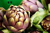 container of artichoke in industry of packaging