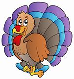 Happy cartoon turkey