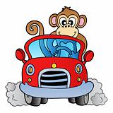 Monkey in car