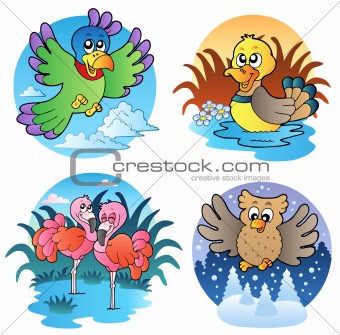 Various cute birds 1
