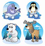 Various cute winter animals