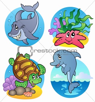 Various sea animals and fishes