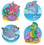 Various water animals and fishes 1