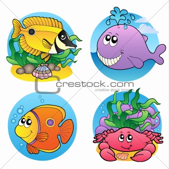 Various water animals and fishes 2