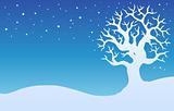 Winter tree with snow 1