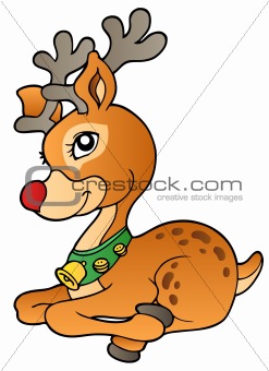Young Christmas reindeer 1