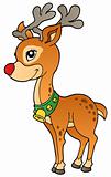 Young Christmas reindeer 2