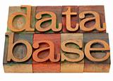 database word in letterpress type
