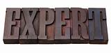expert word in letterpress type