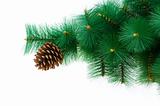 Christmas tree isolated on the white background