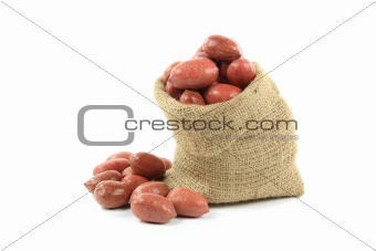 Unshelled Pecan  Nuts. 