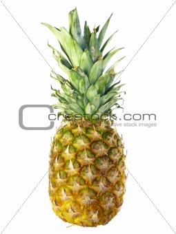 Pineapple isolated on white background 